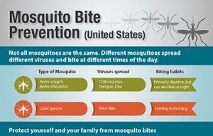 mosquito-bite-prev