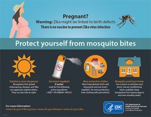 zika-pregnancy-poster